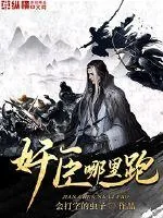 《奸臣哪里跑》封面