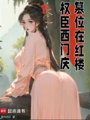 《权臣西门庆，篡位在红楼》小说封面
