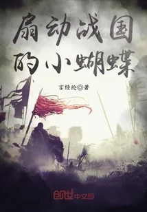 《扇动战国的小蝴蝶》封面