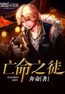 《我的佣兵生涯》小说封面