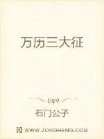 《万历三大征》封面