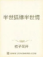 《半世狐缘半世情》封面