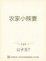 《农家小辣妻》封面