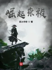 《崛起崇祯》封面