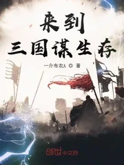 《来到三国谋生存》小说封面