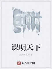 《谋明天下》封面