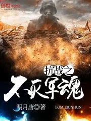 《抗战之不灭军魂》封面