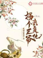 《拐个王爷去复仇》封面