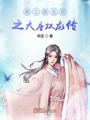 《真三国无双之大唐双龙》封面