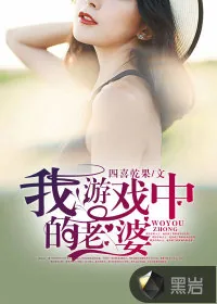《我游戏中的老婆》封面