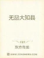 《无品大知县》封面