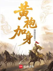 《黄袍加身》小说封面