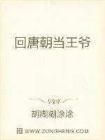 《回唐朝当王爷》封面