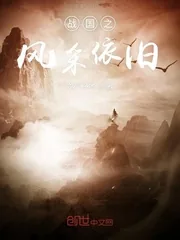 《战国之风采依旧》封面