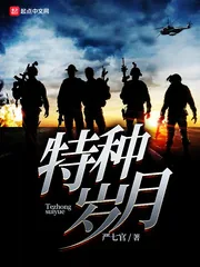 《特种岁月》封面