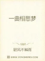 《一曲相思梦》封面