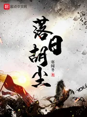 《落日胡尘》封面