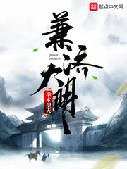 《兼济大明》封面