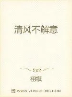 《清风可否解意》封面