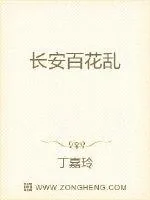 《长安百花乱》封面