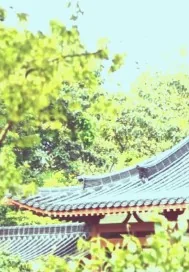 《一代倾城挽山河》封面