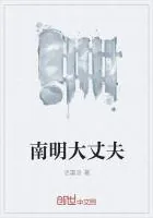 《南明大丈夫》封面