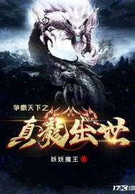 《争霸天下之真龙出世》封面
