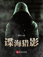 《谍海猎影》封面