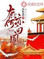 《奈何亦向凰》封面