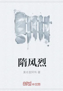 《隋风烈》封面