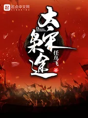 《大宋枭途》封面