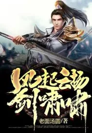 《风起云扬剑啸啸》封面