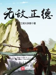 《无敌正德》封面