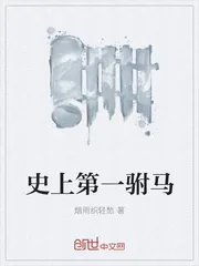 《史上第一驸马》封面