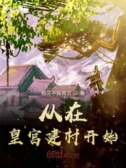 《从在皇宫建村开始》封面