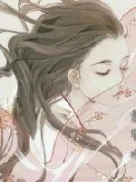《素华瑾》封面