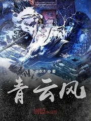 《青云风》封面