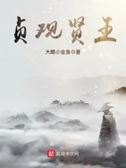 《贞观贤王》封面