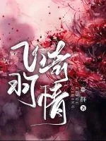 《飞羽奇情》封面
