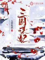《三国谋妃》封面