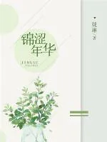《锦涩年华》封面