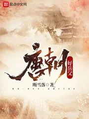 《唐朝好岳父》封面