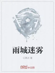 《雨城迷雾》封面
