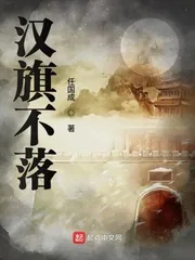 《汉旗不落》封面