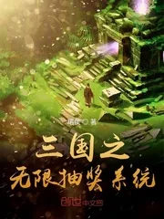 《三国之无限抽奖系统》封面