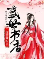 《盛世书香：二嫁富商相公》封面
