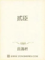 《贰臣》封面