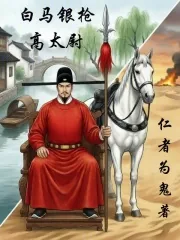 《白马银枪高太尉》小说封面