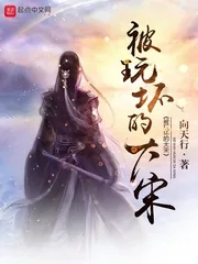 《被玩坏的大宋》封面