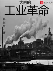 《大明的工业革命》封面